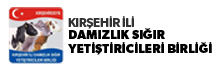 Kırşehir İli Damızlık Sığır Yetiştiricileri Birliği